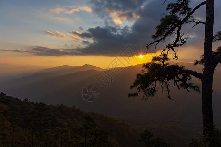 黎明自然日落时天空飞亮的隐形树林中山地风景森林图片