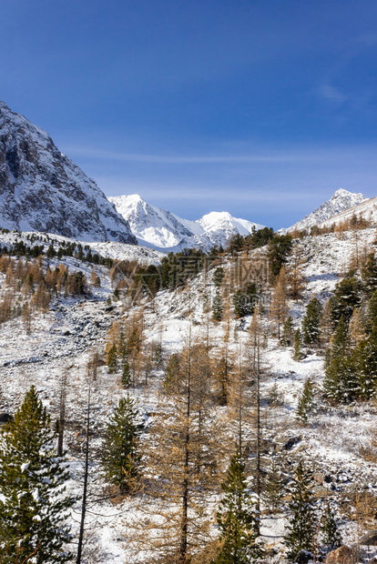 冬季雪山雪景图片