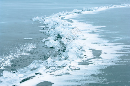 水果冷若冰霜下冬雪背景装饰着玫瑰花臀浆果在雪上安排红莓苍白图片