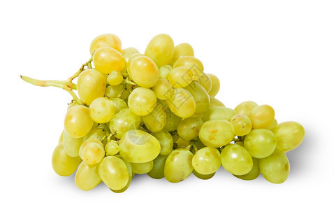 农业保护一群明亮成熟的葡萄被白种背景所孤立束图片