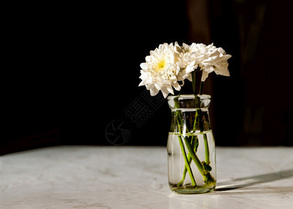 瓶子里白色的花朵图片