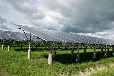 自然现代的用于可再生能源或电力的光伏池板或太阳能绿色图片