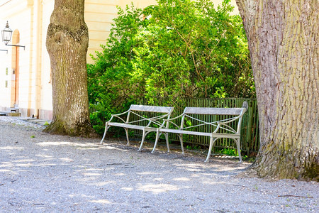 夏季公园的时尚长椅场景户外植物图片