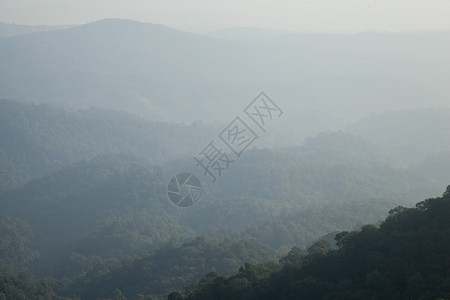 自然落下高山清晨寒冷的雾笼罩着旅行图片