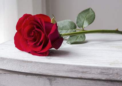 优质的浪漫红玫瑰在旧式柜子上叶图片
