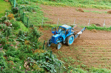 春天季节田间拖拉机收获土豆的器收获土豆的蓝色拖拉机器蓝色拖拉庄稼图片