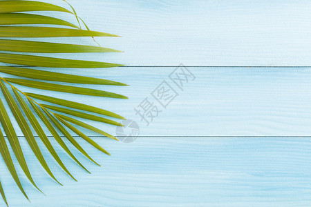 蓝色的夏天木地板顶视图和复制空间的平面椰子叶夏季概念装饰风格图片