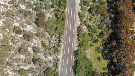 绿色海假期在阳光明媚的一天南澳大利亚Kangaroo岛美丽的道路图片