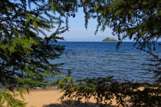 夏天田园诗般的太阳风景与图象在Baikal湖湾的一个小岛穿过树木图片