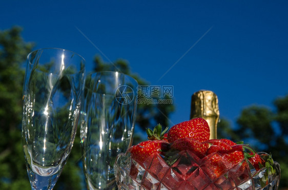 以一瓶香槟两杯酒和一碗草莓在蓝天露外的彩礼庆祝清爽诱人的目图片