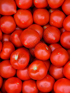 新鲜的小西红柿圣女果图片