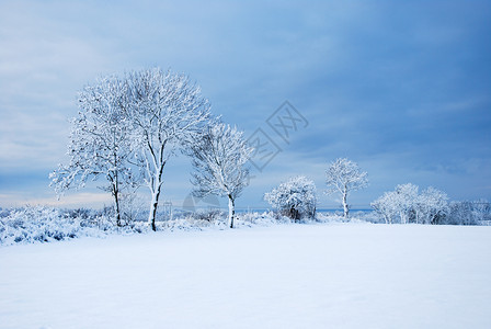 户外美丽明亮的雪覆盖着瑞典群岛奥兰的风景田园诗般场图片