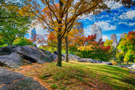 纽约中央公园的秋天色彩纽约中央公园的秋天色彩地标湖摩大楼图片