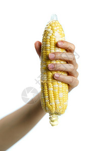 农业新鲜的将玉米用安全套撕裂手放在白色背景上与外界隔绝图片