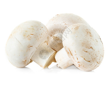 有机白蘑菇图片