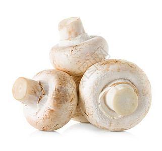 有机白蘑菇背景图片