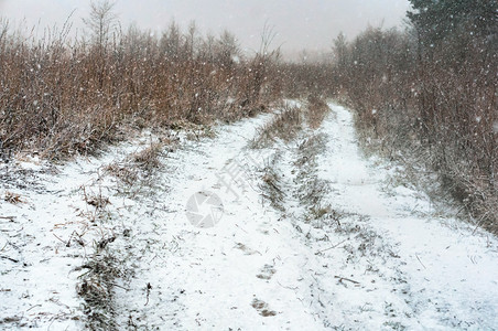 野外雪覆盖公路野外道和雪雨以及暴覆盖地面的路乡村分支天图片