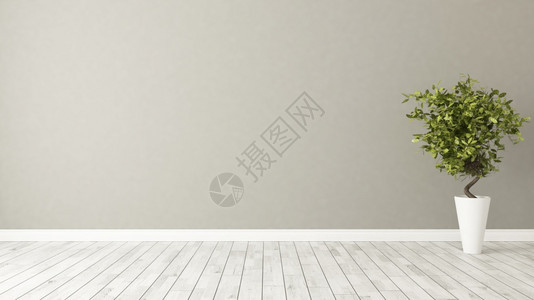 浅棕壁空房有绿色植物在花瓶3d翻接空的家使成为图片