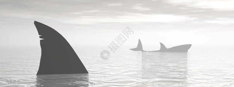 插图数字的海浪深灰大洋中的鲨鱼鳍旁边一条长于另3D的鲨鱼图片