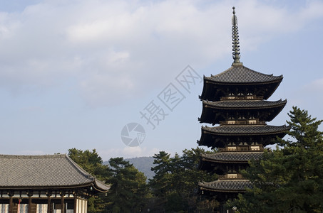 日本奈拉的朝仓寺古纳拉作为世界遗产址的八座历史迹之一那拉的日本朝野寺绿色东方的高图片