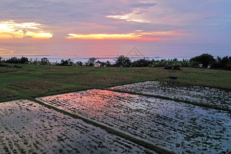 天线日落蓝色的从印度尼西亚巴厘岛海岸有稻田和印度海洋的山堤风景地带出海的空中航行图片