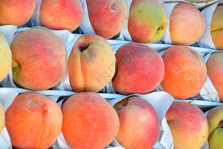 花园在集市出售新鲜和成熟的桃子甜点水果图片