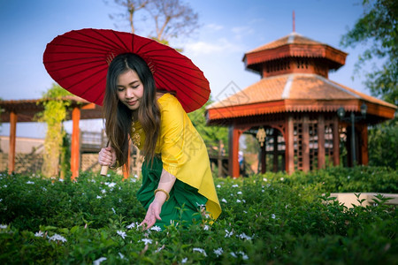 红色的泰国妇女以伞式传统风格装饰泰国妇女裙子优雅图片