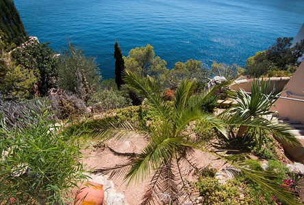 岛屿白天晴西班牙马洛卡的地中海草植被和洋蓝色图片