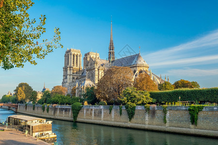 国际的罾美丽巴黎圣母院在日出时法国老的图片