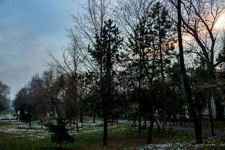 户外罗马尼亚布加勒斯特市中心Cismigiu公园布加勒斯特Cismigiu花园冬季现场草地图片
