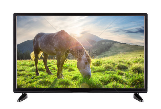 黑色高定界电视有马的图片在山上草地黑色高定界电视有马的图片家数字等离子体图片