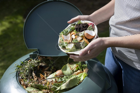 近距离将妇女清空食品废物送进家里的园艺综合作曲家肥料食物去皮图片