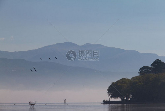 野生动物希腊爱奥安那的薄荷湖上鸟在大气中景象贾内纳伊庇鲁斯图片