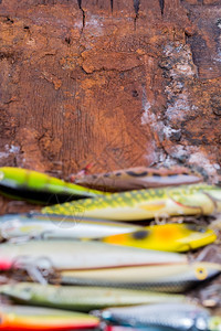 吸引力抽搐以自然背景为主的有选择重点的近身捕鱼诱饵编织器铸件图片
