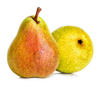 白底梨图片_白底梨素材图片大全_摄图网