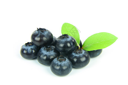 白色的水果一组新鲜蓝莓白色背景上隔绝叶子覆盆图片