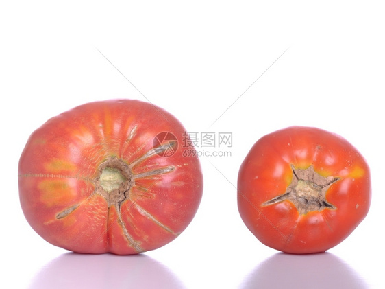生产番茄樱桃白色背景上孤立的长大生物西红柿和小生物西红柿图片
