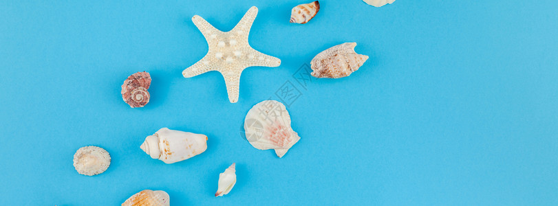 海底蓝背景壳和星的顶层视图明信片以最起码的风格文本模板拟并复制空间一海贝壳和星在绿蓝背景上观看海雀和星用明信片制作假并以最小的方图片