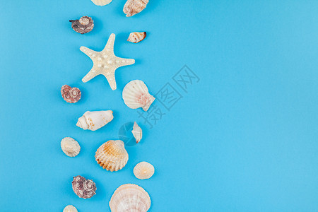 丰富多彩的小样海底蓝背景壳和星的顶层视图明信片以最起码的风格文本模板拟并复制空间一海贝壳和星在绿蓝背景上观看海雀和星用明信片制作图片