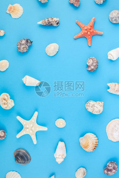 最佳颜色海底蓝背景壳和星的顶层视图明信片以最起码的风格文本模板拟并复制空间一海贝壳和星在绿蓝背景上观看海雀和星用明信片制作假并以图片