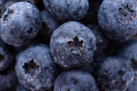 甜点蓝莓水果和蔬菜新鲜潮湿蓝莓近身照生的图片