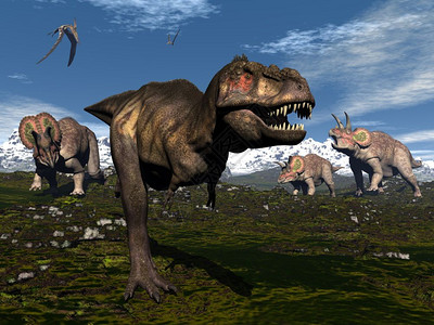 山上三只恐龙了暴雷克斯3D化身肉食动物历史飞行图片