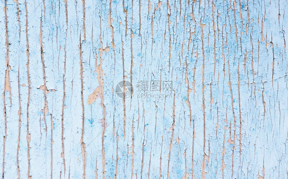 地板旧漆成蓝色的木制导纹理缝合具有复制空间的老式白背景有旧版面纸质木本背景材料谷仓图片