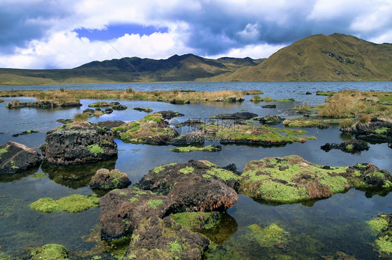 环礁ElCajas公园草地生态系统拉姆萨尔韦特兰高地厄瓜多尔阿苏艾省AmericaAlbertoCarrera的爬坡道埃尔图片