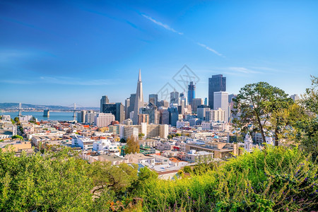 美州旧金山市中心商业的美丽景色国旧金山市中心字塔城市景观中央图片
