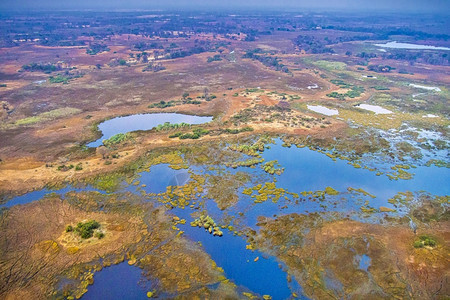 绿公园奥卡万戈湿地草三角洲教科文组织世界遗产地点拉姆萨尔韦特兰博茨瓦纳非洲生态图片