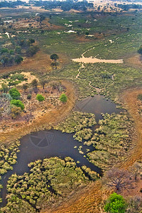 生物学奥卡万戈湿地草三角洲教科文组织世界遗产地点拉姆萨尔韦特兰博茨瓦纳非洲荒野景观图片