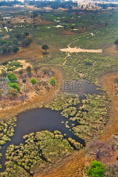 生物学奥卡万戈湿地草三角洲教科文组织世界遗产地点拉姆萨尔韦特兰博茨瓦纳非洲荒野景观图片