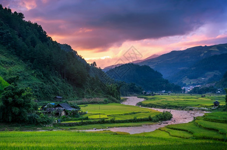 粗糙的绿色黄昏时日拜越南西北紫光时MucangChai谷图片
