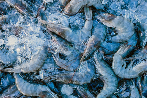 海产食品新鲜的Barramundi鱼市场身体省低音图片